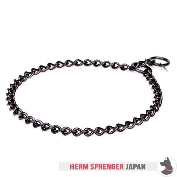 metal choker dog collar